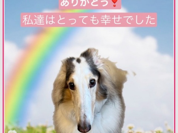 ２つの虹の橋🌈🌈