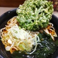 ＃春菊天　がトッピングされた　＃駅そば　これは悪くはない、、ただ出汁や。