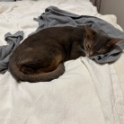 パジャマの上着取られちゃった(*´ω`*)