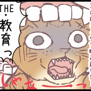 ネコ飼いの飼いネコまんが ねこボイ