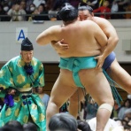 スポーツ見るもの語る者～フモフモコラム