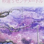 白雲行