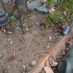 たかはし美容室のブログ