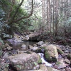 福岡発！タクシードライバーの登山日誌