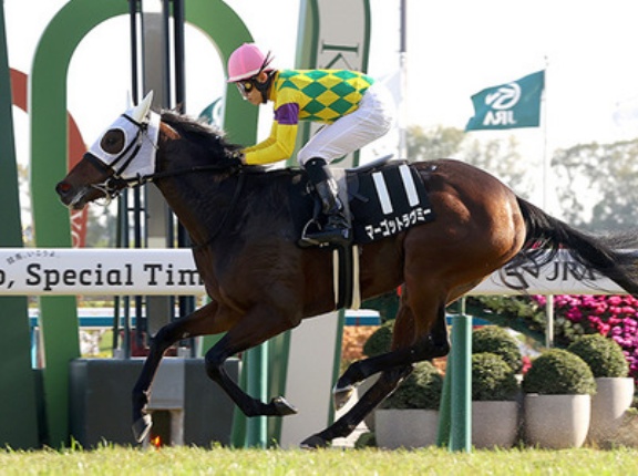 【競馬予想】[2]第77回阪神ジュベナイルフィリーズ(GⅠ) /2025