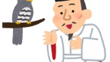織田信長が人気なのに豊臣秀吉があんま人気ない理由