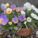 脂質オフの効果