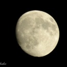 落ち着きはじめた副作用と、耳の状態。今後の回復に感じること。