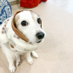 華・あず＆レン