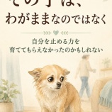 『攻撃的な犬は存在しません、攻撃しなくてはならない状況がある、のです』の画像