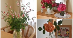 【庭の花のある暮らし】チェリーセージとキングローズを部屋に飾って楽しむ初夏♬（記事下にPR含）