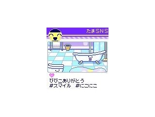 【ゆる日記 vol.46】最近のマイスイートまめっち（たまユニ近況）