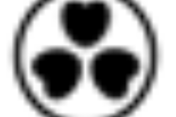 Naruto Naruto 知識