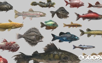 Fallout 76：アパラチアの魚一覧