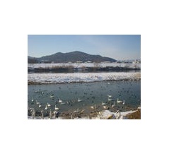 親を殺めることがないようにするための話し合いを持て！