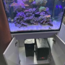 60×45×45水槽の外部フィルターをアップグレードしました