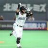 日ハム・ドラ9上川畑大悟（25歳167cm遊撃手）、レギュラーになる
