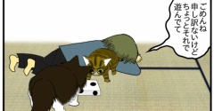 【猫との暮らし】ちょっと嬉しい飼い主