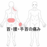 『右手首背屈時痛と右頸部回旋制限を伴う腰痛 登別室蘭すのさき鍼灸整骨院 症例報告』の画像