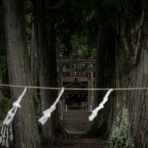 （ ﾟ毒ﾟ）< しんどい。