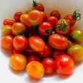ミニトマト大好き～🍅