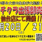 爬虫類倶楽部仙台店ブログ