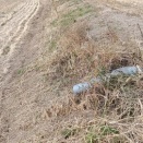 田んぼでオフ車走らせたら面白いんじゃね？