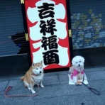 ペットシッターRaRaのブログ