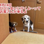 ガオだらけな日々　