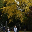 紅葉した大窪寺②