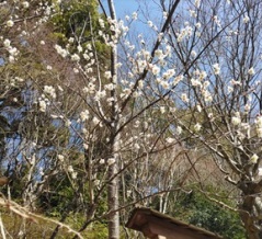 ありがとう＆さようなら～有馬温泉