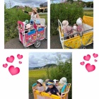 『1歳児さんが秋を探してお散歩に出かけました。』の画像