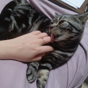 実物のﾈｺﾁｬﾝたちセカンド207