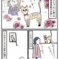 菊之助の挑戦 〜ぼくだってできるもん〜