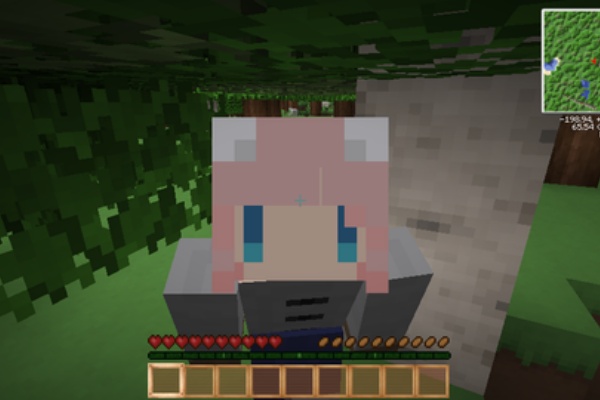 ももにゃのマインクラフト