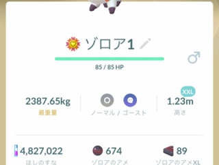 【ポケモンGO】ゴーストおひろめ「バグったヒスイゾロア」がいつもの無双