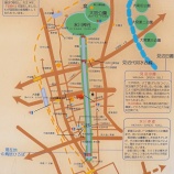 『大宮氷川神社参道』の画像