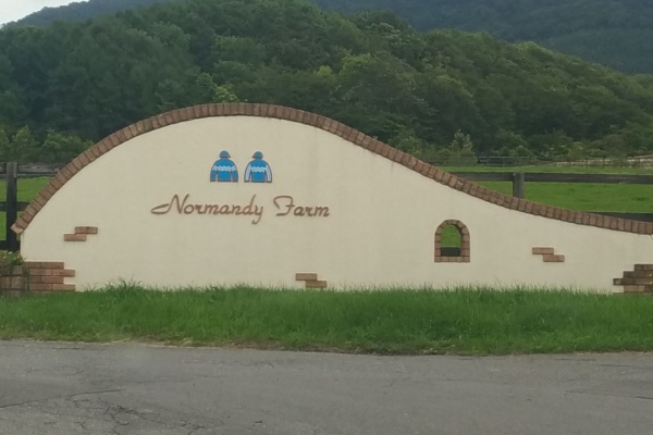 そういちの一口馬主回収率道場