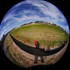 『円周魚眼レンズによるヒガンバナと秋の雲と私　2023/10/05』の画像