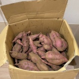 『裏の畑で芋が生る！』の画像