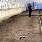 カツオのペタンク日記