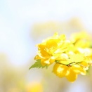 父親が鬱っぽくなってきてしまった