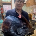 明日は朝市でーす！目玉はマグロの中落ちですよ😃