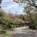 はじめての探鳥会