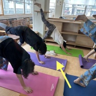 猫式ヨガ と 次回募集開始
