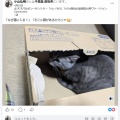 SNSがよくわかりません。