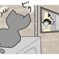 ゴメンね猫ちゃん