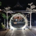 夏越の大祓いに行きました！