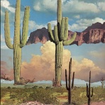 ディスクユニオン立川店