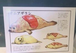 【衝撃】にゃーのインスタストーリーに変なの上がってるｗｗｗ【西野七瀬】